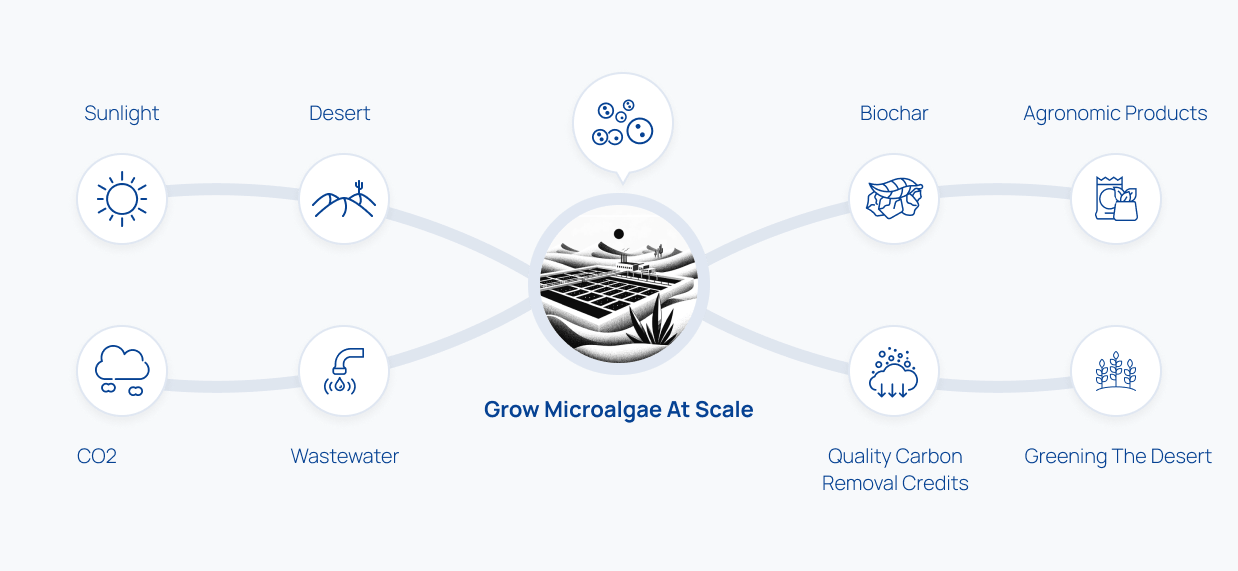 An image of Circular Microalgae Biorefinery process